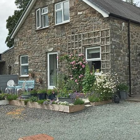Pant Glas Barn Llanbrynmair Luaran gambar