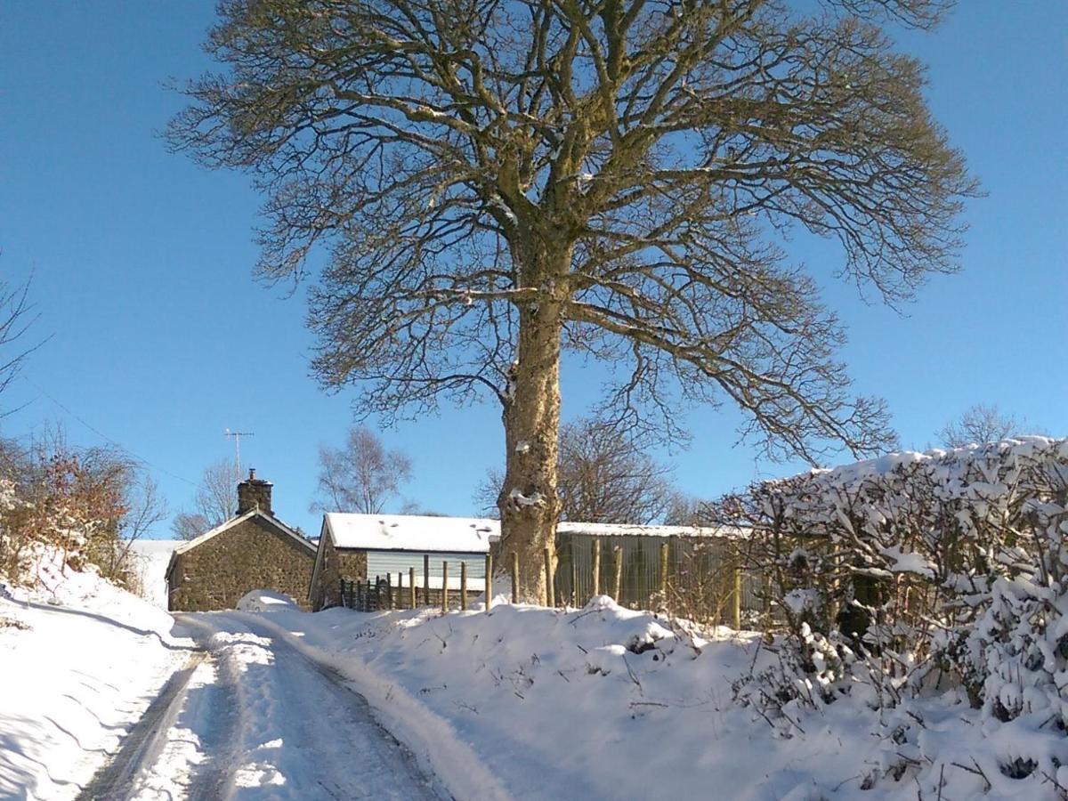 Pant Glas Barn Llanbrynmair Luaran gambar