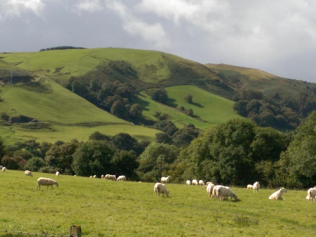 Pant Glas Barn Llanbrynmair Luaran gambar