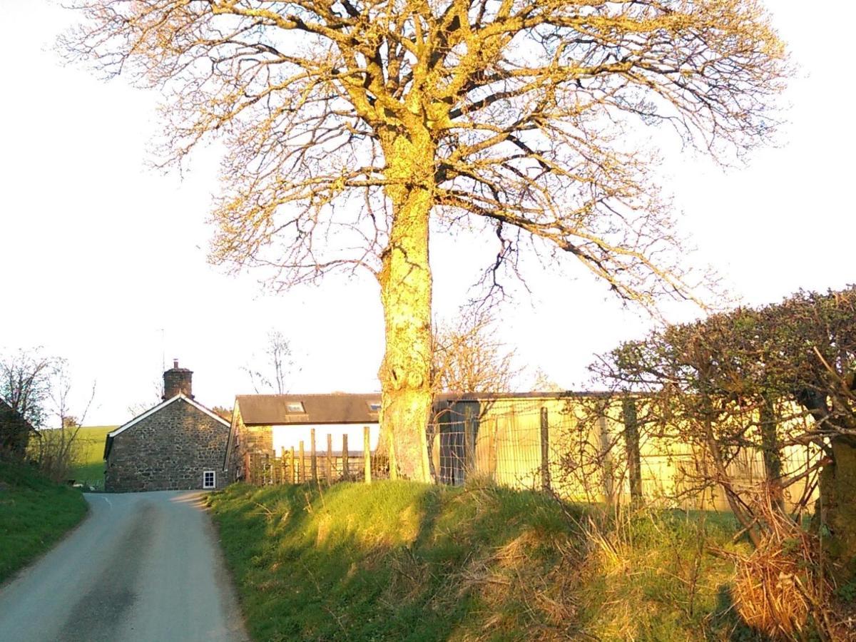 Pant Glas Barn Llanbrynmair Luaran gambar